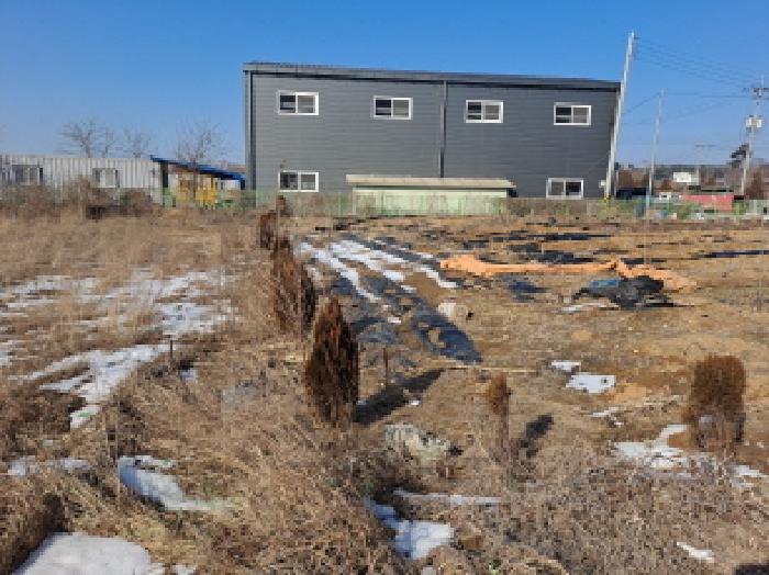 충청남도 당진시 송악읍 고대리 61-35 외 1필지 답 경매 사진 5