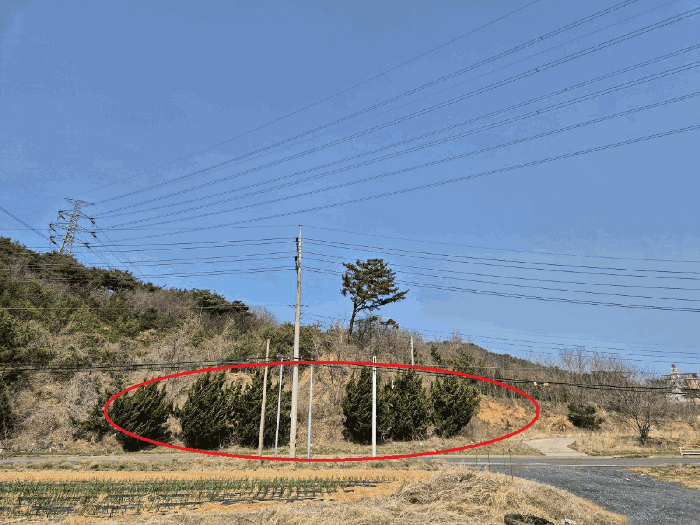 충청남도 당진시 석문면 교로리 847-28 외 7필지 대지 경매 사진 11