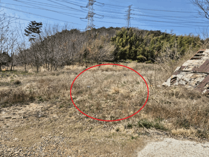 충청남도 당진시 석문면 교로리 847-28 외 7필지 대지 경매 사진 12