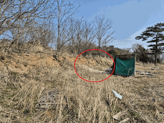 충청남도 당진시 석문면 교로리 847-28 외 7필지 대지 경매 사진 19