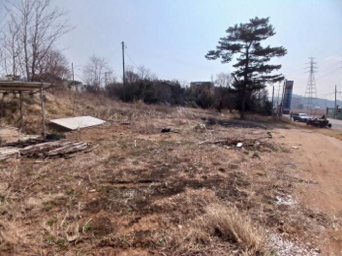 충청남도 당진시 석문면 교로리 847-28 외 7필지 대지 경매 사진 3