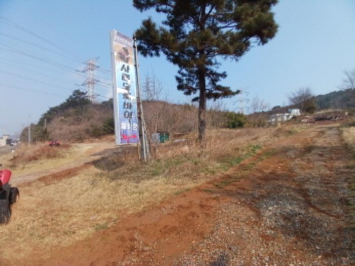 충청남도 당진시 석문면 교로리 847-28 외 7필지 대지 경매 사진 4