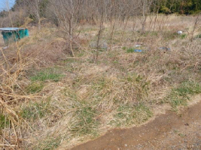충청남도 당진시 석문면 교로리 847-28 외 7필지 대지 경매 사진 7
