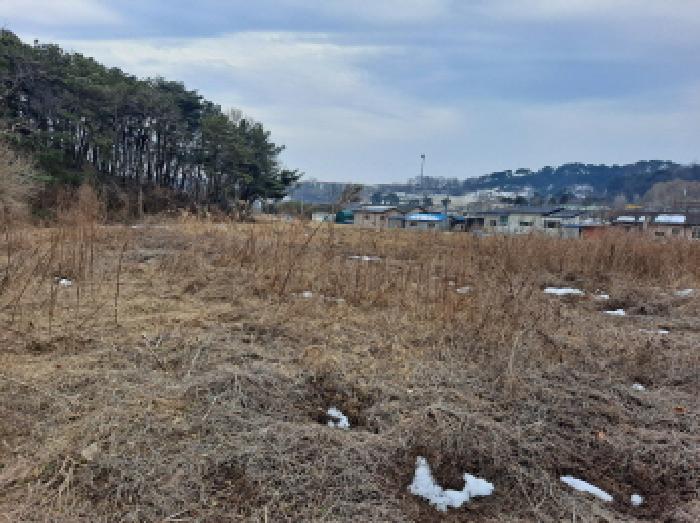 충청남도 당진시 순성면 봉소리 466 외 3필지 답 경매 사진 11