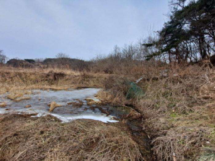 충청남도 당진시 순성면 봉소리 466 외 3필지 답 경매 사진 14
