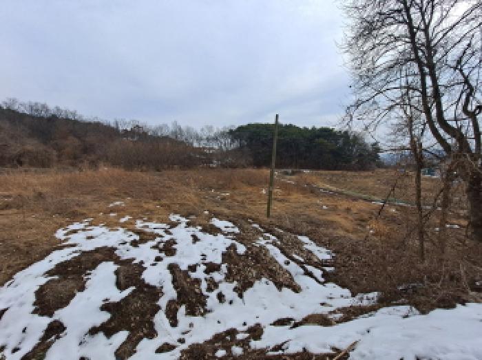충청남도 당진시 순성면 봉소리 466 외 3필지 답 경매 사진 16