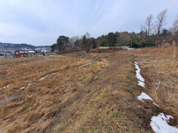 충청남도 당진시 순성면 봉소리 466 외 3필지 답 경매 사진 3