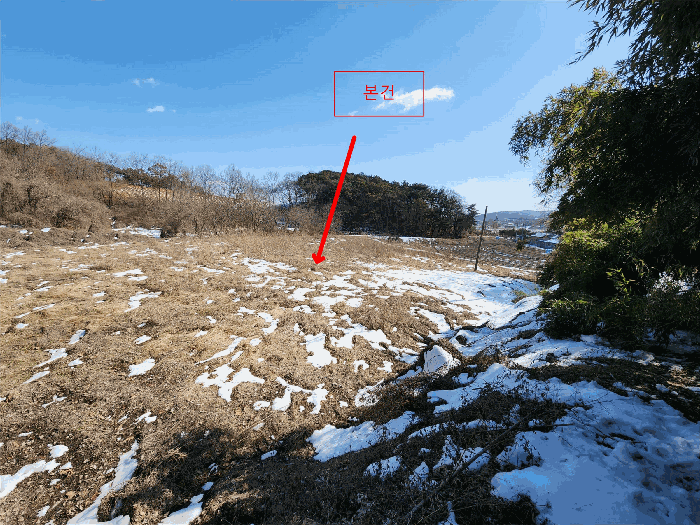 충청남도 당진시 순성면 봉소리 466 외 3필지 답 경매 사진 21
