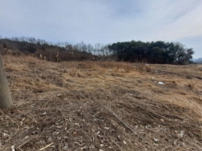 충청남도 당진시 순성면 봉소리 466 외 3필지 답 경매 사진 7