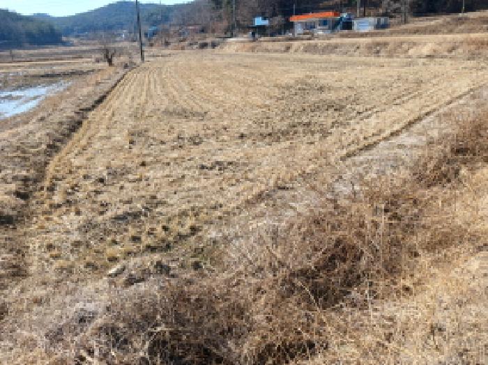 충청남도 당진시 석문면 교로리 178 답 경매 사진 20