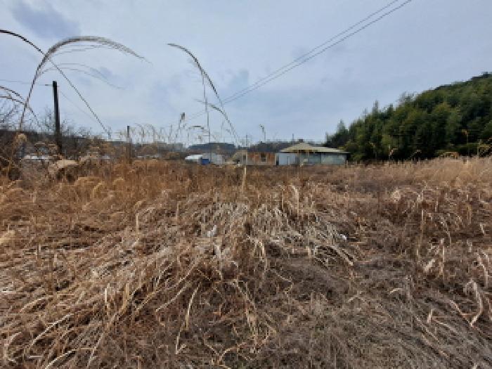 충청남도 당진시 송산면 유곡리 270-1 외 8필지 답 경매 사진 11