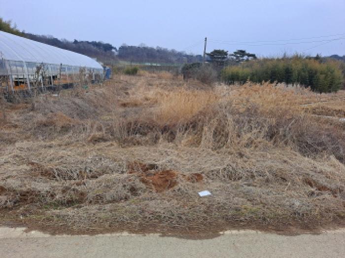 충청남도 당진시 송산면 유곡리 270-1 외 8필지 답 경매 사진 14