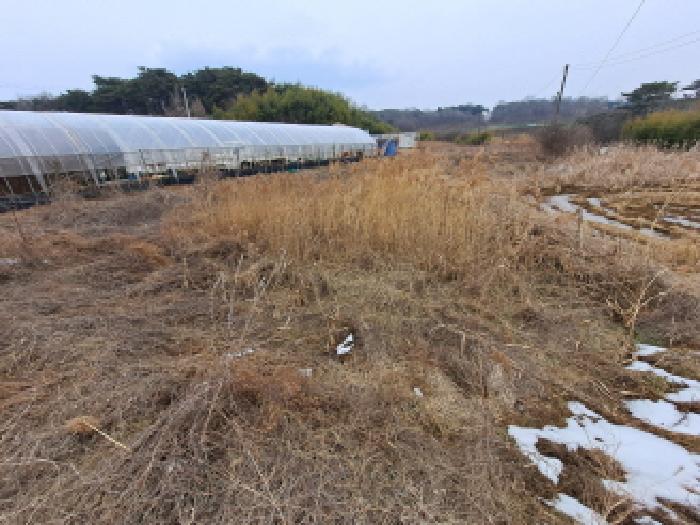 충청남도 당진시 송산면 유곡리 270-1 외 8필지 답 경매 사진 15
