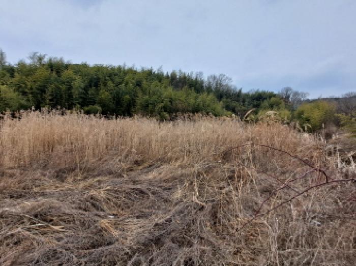 충청남도 당진시 송산면 유곡리 270-1 외 8필지 답 경매 사진 16