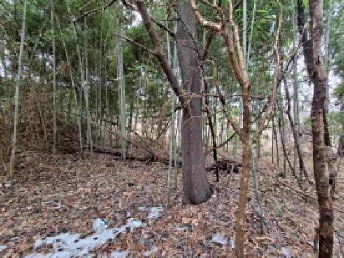충청남도 당진시 송산면 유곡리 270-1 외 8필지 답 경매 사진 20