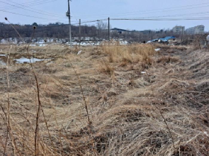 충청남도 당진시 송산면 유곡리 270-1 외 8필지 답 경매 사진 3