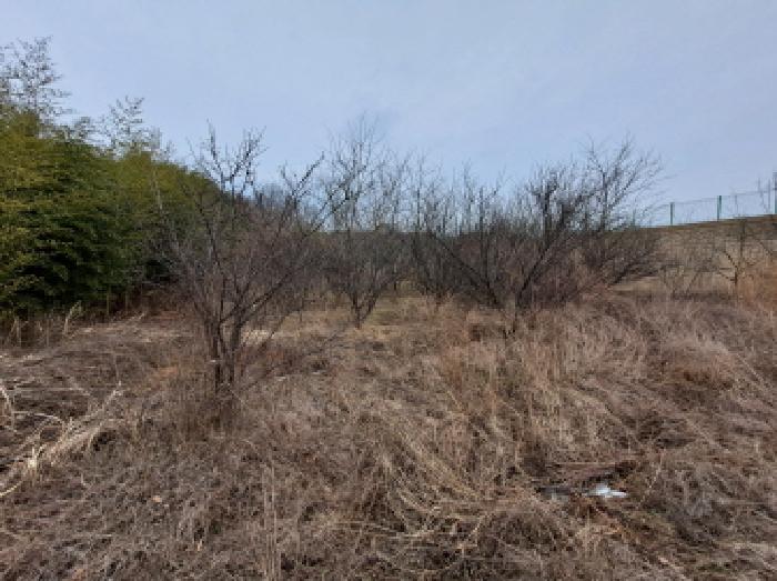 충청남도 당진시 송산면 유곡리 270-1 외 8필지 답 경매 사진 22