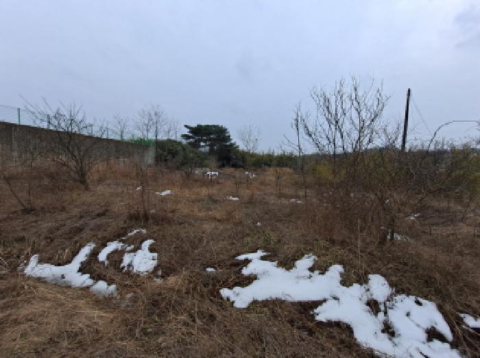 충청남도 당진시 송산면 유곡리 270-1 외 8필지 답 경매 사진 23