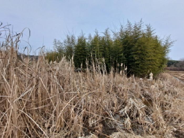 충청남도 당진시 송산면 유곡리 270-1 외 8필지 답 경매 사진 29