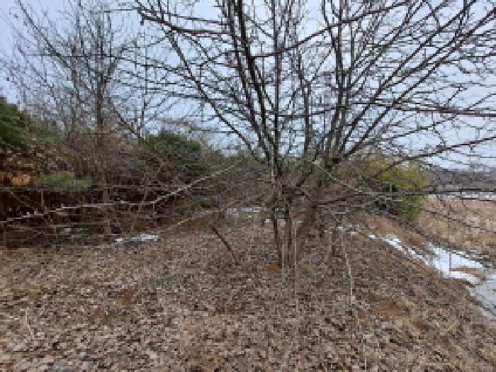 충청남도 당진시 송산면 유곡리 270-1 외 8필지 답 경매 사진 35
