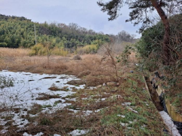 충청남도 당진시 송산면 유곡리 270-1 외 8필지 답 경매 사진 37