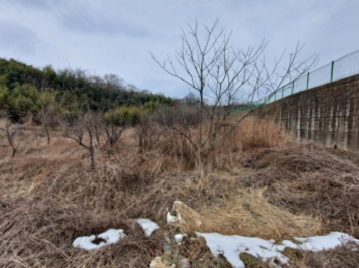 충청남도 당진시 송산면 유곡리 270-1 외 8필지 답 경매 사진 40