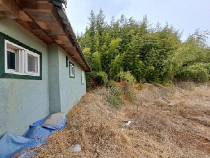충청남도 당진시 송산면 유곡리 270-1 외 8필지 답 경매 사진 41