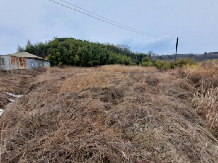 충청남도 당진시 송산면 유곡리 270-1 외 8필지 답 경매 사진 9