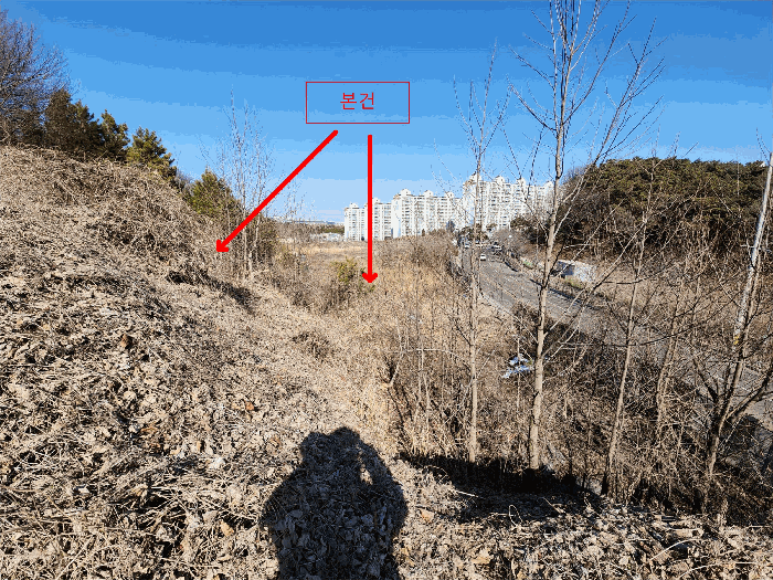 충청남도 서산시 성연면 오사리 18-1 외 2필지 임야 경매 사진 15