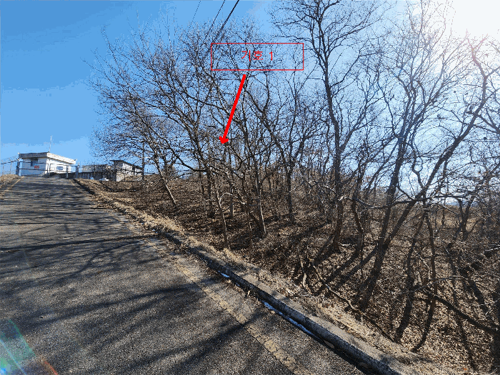 충청남도 서산시 성연면 오사리 18-1 외 2필지 임야 경매 사진 18