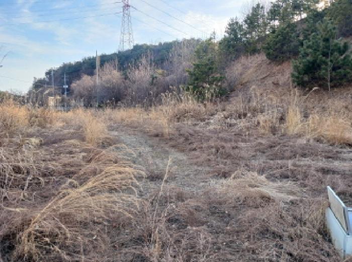 충청남도 서산시 성연면 오사리 18-1 외 2필지 임야 경매 사진 5