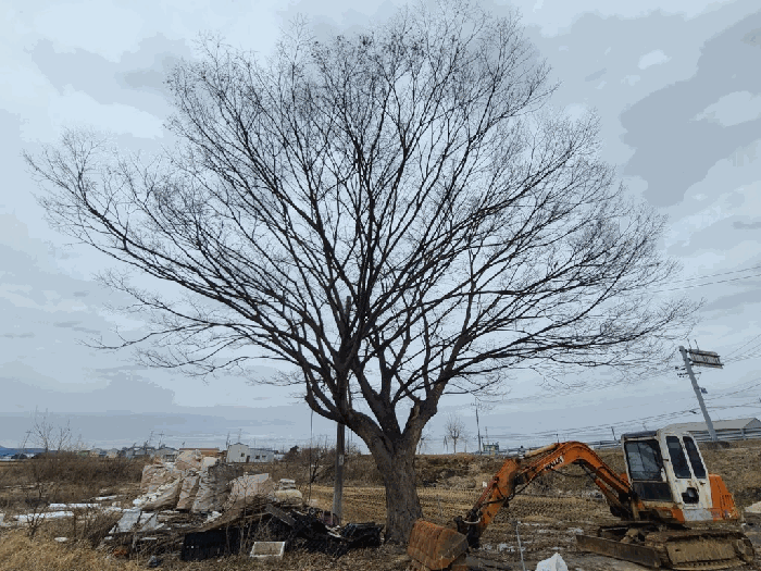 충청남도 당진시 합덕읍 옥금리 578 대지 경매 사진 39