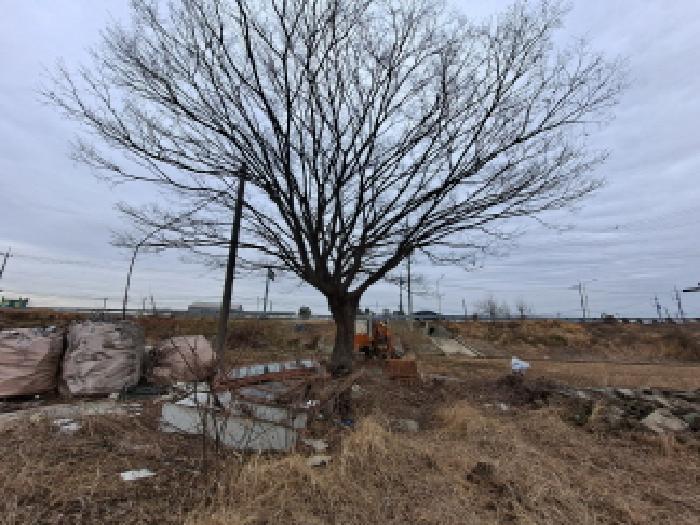 충청남도 당진시 합덕읍 옥금리 578 대지 경매 사진 29