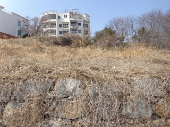 충청남도 태안군 고남면 고남리 1769-18 임야 경매 사진 16