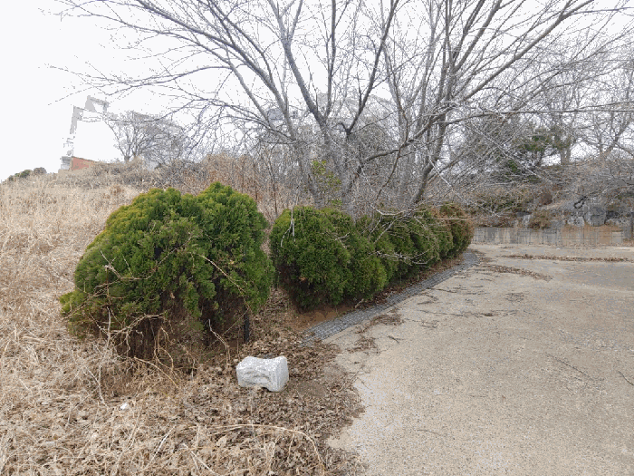 충청남도 태안군 고남면 고남리 1769-18 임야 경매 사진 25
