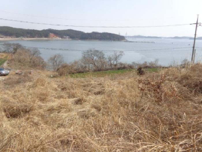 충청남도 태안군 고남면 고남리 1769-18 임야 경매 사진 17