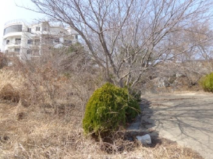 충청남도 태안군 고남면 고남리 1769-18 임야 경매 사진 18