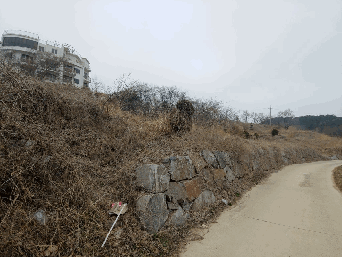 충청남도 태안군 고남면 고남리 1769-18 임야 경매 사진 20