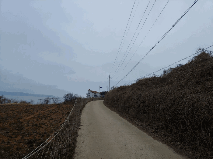 충청남도 태안군 고남면 고남리 1769-18 임야 경매 사진 21