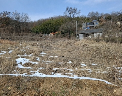 충청남도 서산시 인지면 남정리 517-1 외 2필지 전 경매 사진 1