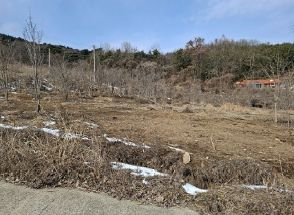 충청남도 서산시 인지면 남정리 517-1 외 2필지 전 경매 사진 2