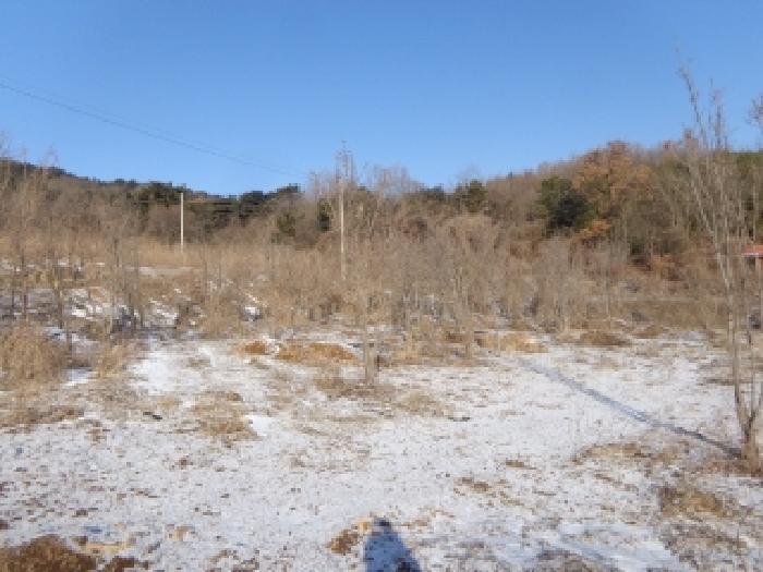 충청남도 서산시 인지면 남정리 517-1 외 2필지 전 경매 사진 12
