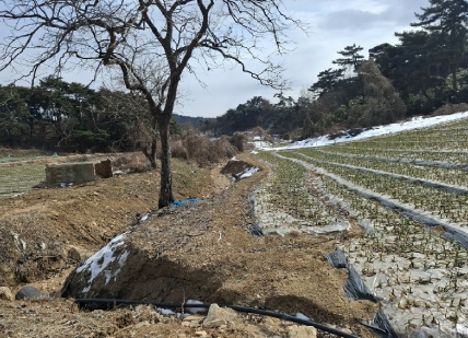 충청남도 서산시 인지면 남정리 517-1 외 2필지 전 경매 사진 3