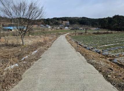 충청남도 서산시 인지면 남정리 517-1 외 2필지 전 경매 사진 4