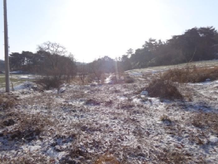 충청남도 서산시 인지면 남정리 517-1 외 2필지 전 경매 사진 6
