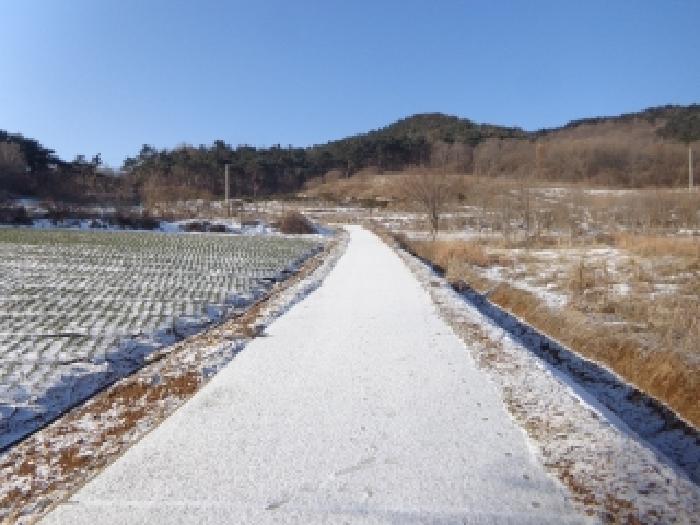 충청남도 서산시 인지면 남정리 517-1 외 2필지 전 경매 사진 9