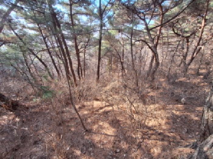 충청남도 당진시 석문면 교로리 844-70 외 13필지 임야 경매 사진 15