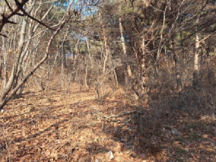 충청남도 당진시 석문면 교로리 844-70 외 13필지 임야 경매 사진 30