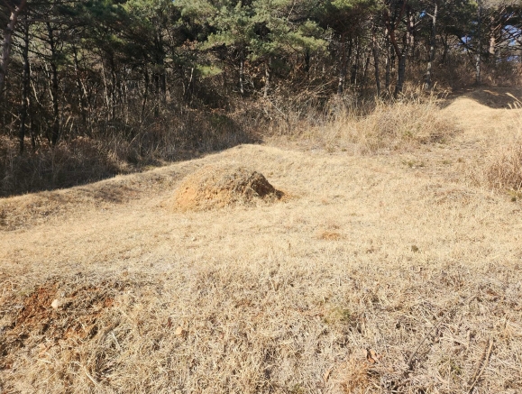 충청남도 당진시 석문면 교로리 844-70 외 13필지 임야 경매 사진 8