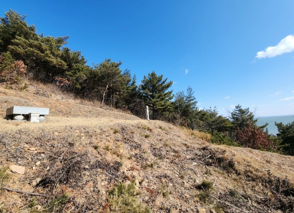 충청남도 당진시 석문면 교로리 844-70 외 13필지 임야 경매 사진 9